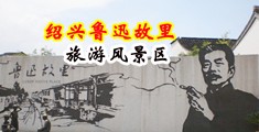 被插日的视频中国绍兴-鲁迅故里旅游风景区